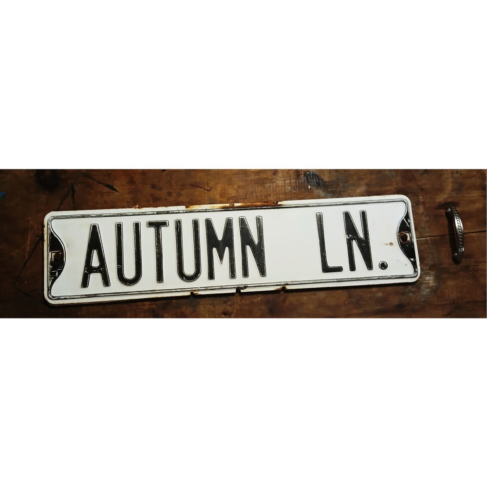 Autumn Lane Street Sign
